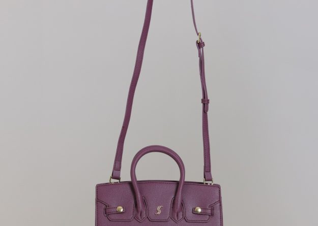 Stylish Small Bag with Gold Detail and Strap