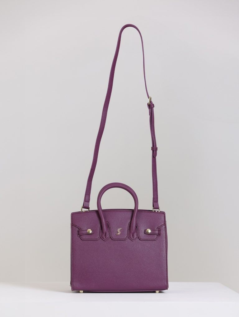 Stylish Small Bag with Gold Detail and Strap