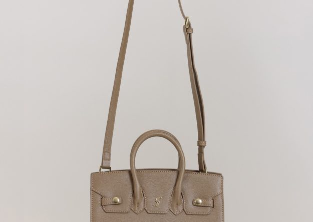Stylish Small Bag with Gold Detail and Strap