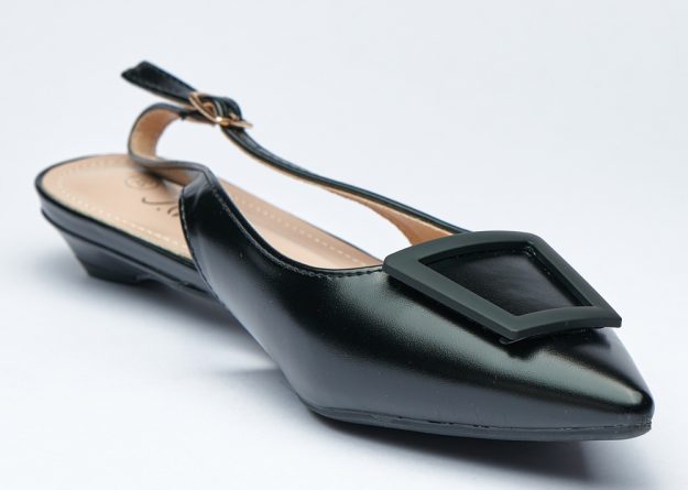 Modern Minimalist Flat shose