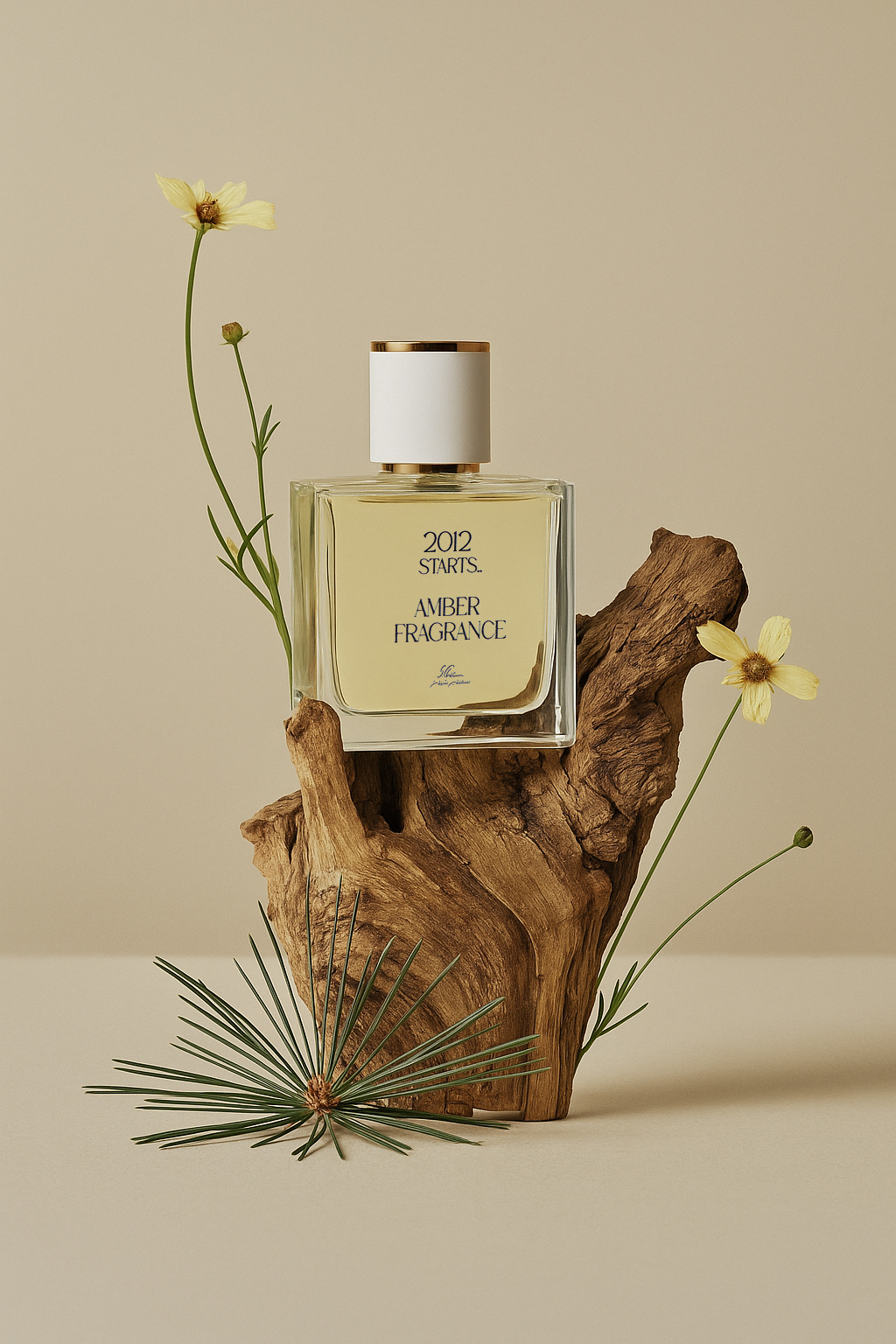 2012 STARTS- AMBER FRAGRANCE